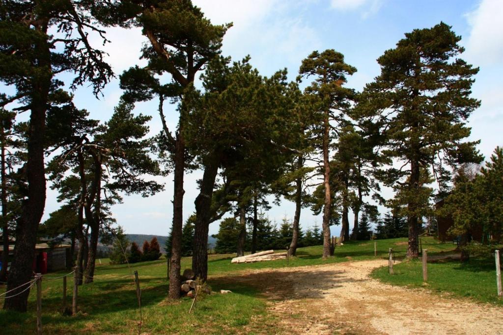 Hotel Le Refuge Mas-dʼOrcières Екстериор снимка